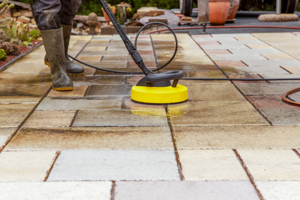 Best Solar Panel Cleaning  in New Lisbon, WI